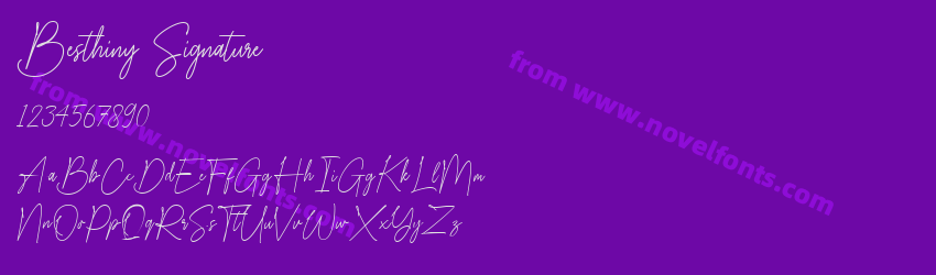 Besthiny SignaturePreview Besthiny SignaturePreview
