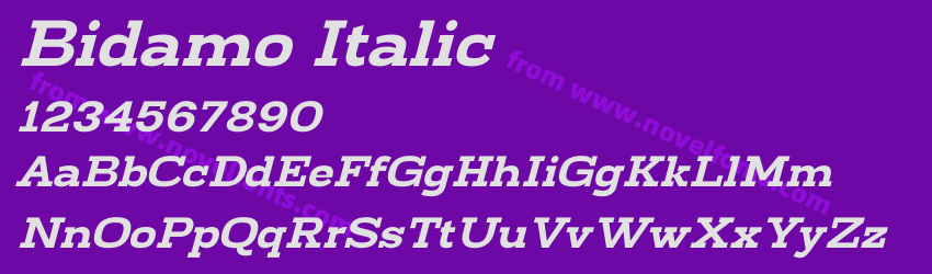 Bidamo ItalicPreview Bidamo ItalicPreview
