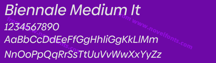 Biennale Medium ItPreview