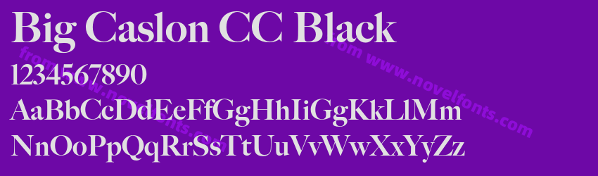Big Caslon CC BlackPreview