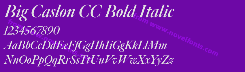 Big Caslon CC Bold ItalicPreview