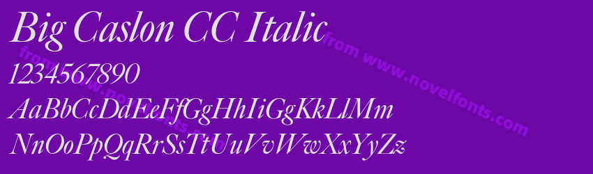 Big Caslon CC ItalicPreview