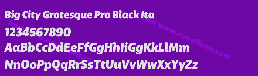 Big City Grotesque Pro Black ItaPreview