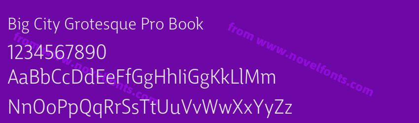 Big City Grotesque Pro BookPreview