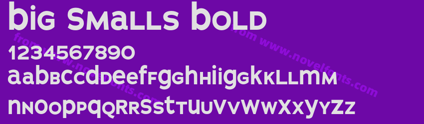 Big Smalls BoldPreview