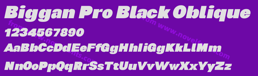 Biggan Pro Black ObliquePreview Biggan Pro Black ObliquePreview