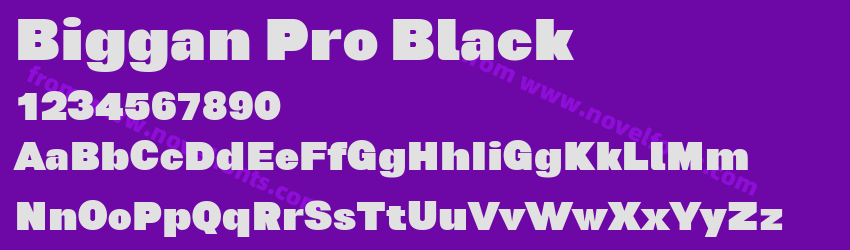 Biggan Pro BlackPreview Biggan Pro BlackPreview