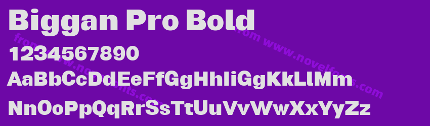 Biggan Pro BoldPreview Biggan Pro BoldPreview