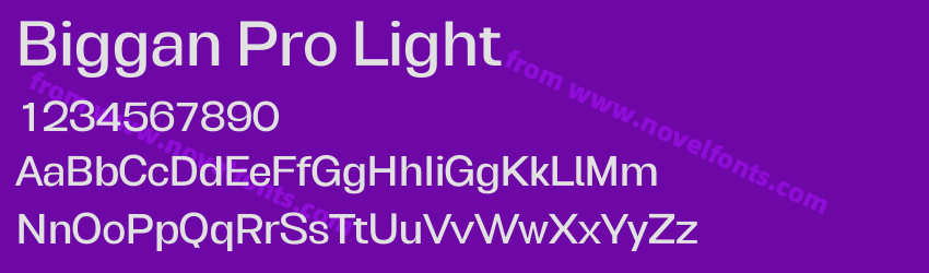Biggan Pro LightPreview Biggan Pro LightPreview