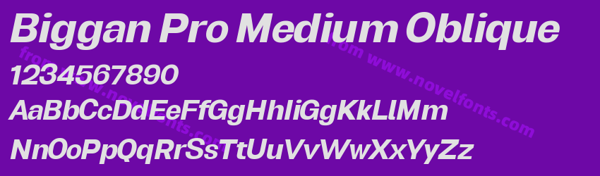 Biggan Pro Medium ObliquePreview Biggan Pro Medium ObliquePreview