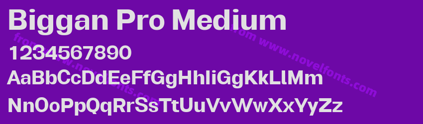 Biggan Pro MediumPreview Biggan Pro MediumPreview