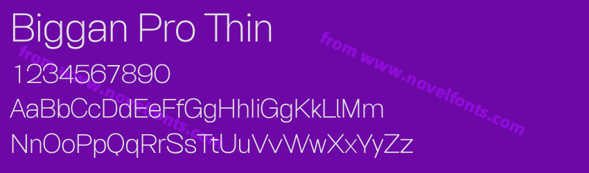 Biggan Pro ThinPreview
