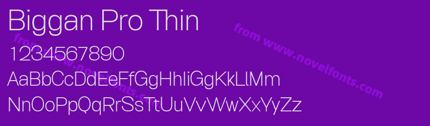 Biggan Pro ThinPreview Biggan Pro ThinPreview