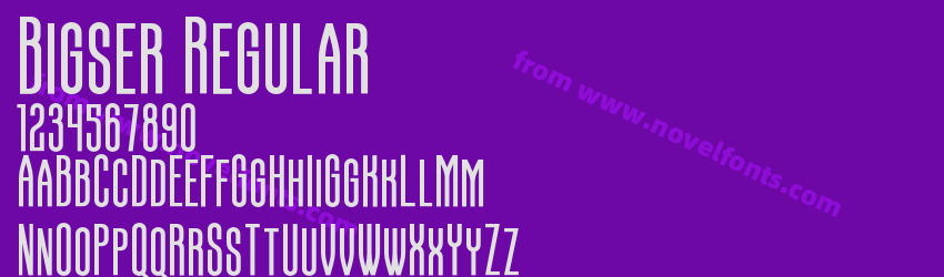 Bigser RegularPreview