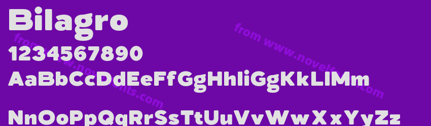 BilagroPreview