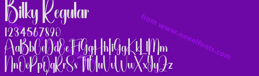 Bilky RegularPreview Bilky RegularPreview