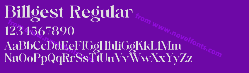 Billgest RegularPreview Billgest RegularPreview