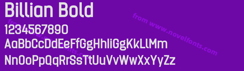Billian BoldPreview