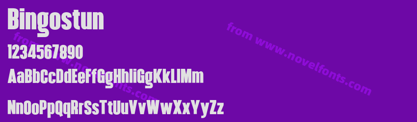 BingostunPreview BingostunPreview