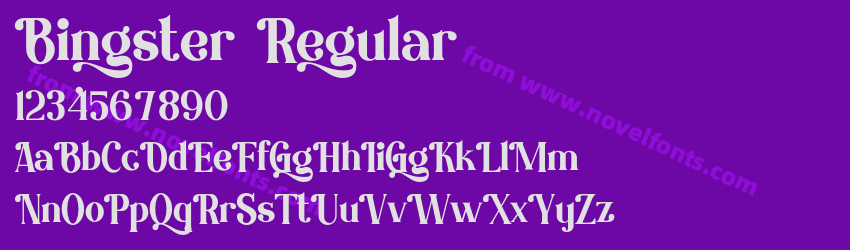 Bingster RegularPreview
