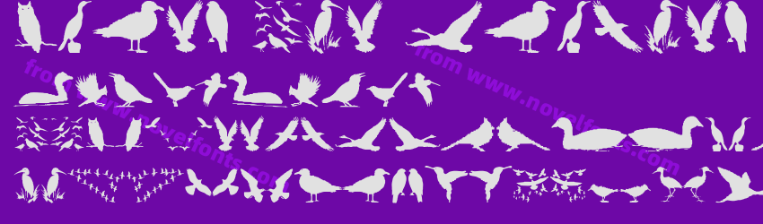 Birds And FriendsPreview Birds And FriendsPreview