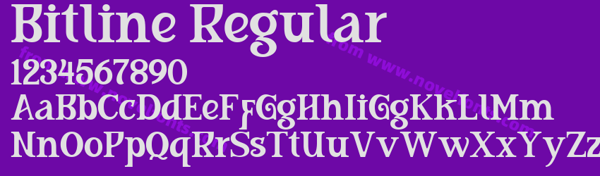 Bitline RegularPreview Bitline RegularPreview