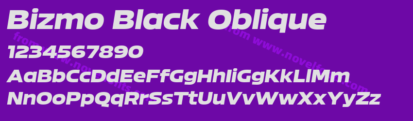 Bizmo Black ObliquePreview