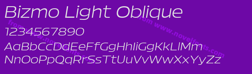 Bizmo Light ObliquePreview