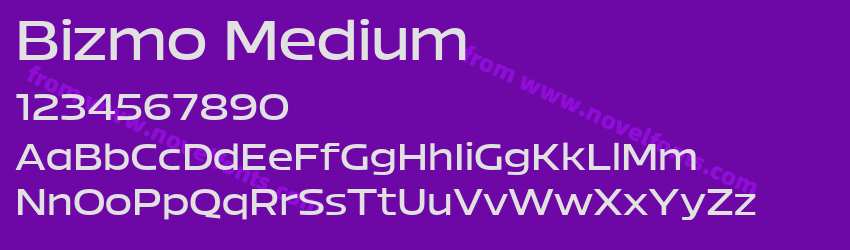Bizmo MediumPreview
