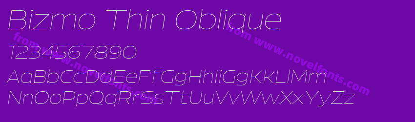 Bizmo Thin ObliquePreview