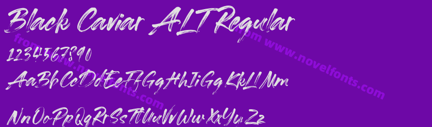 Black Caviar ALT RegularPreview