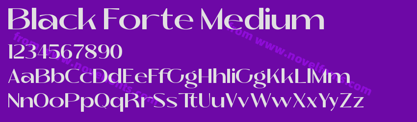Black Forte MediumPreview Black Forte MediumPreview