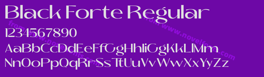Black Forte RegularPreview