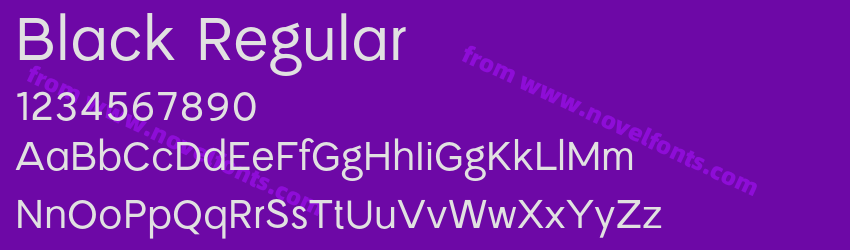 Black RegularPreview