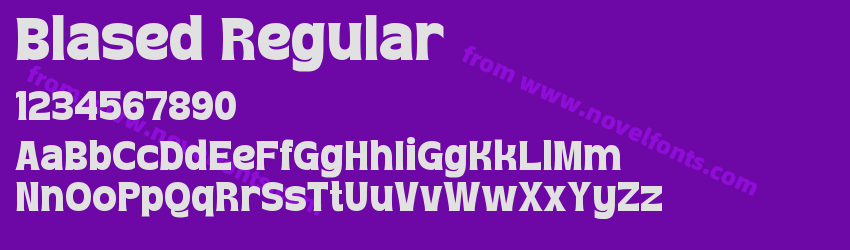 Blased RegularPreview
