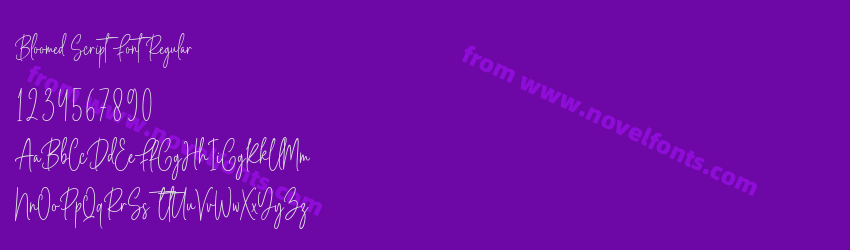 Bloomed Script Font RegularPreview Bloomed Script Font RegularPreview