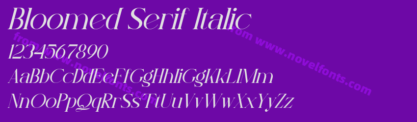 Bloomed Serif ItalicPreview Bloomed Serif ItalicPreview