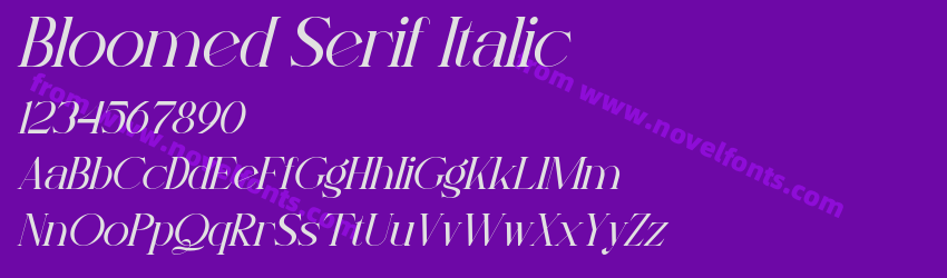 Bloomed Serif ItalicPreview Bloomed Serif ItalicPreview