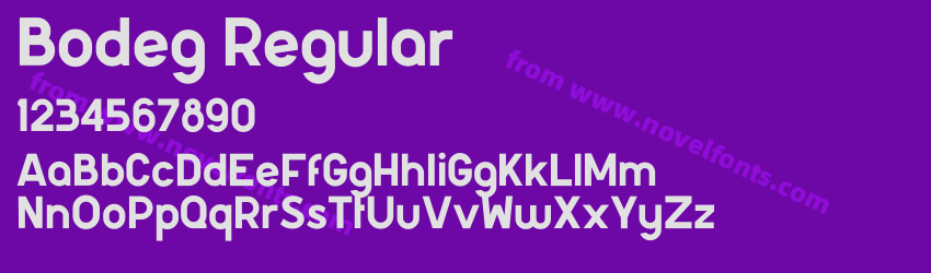 Bodeg RegularPreview