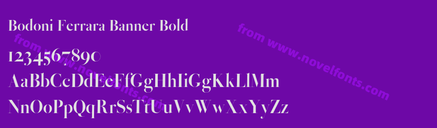 Bodoni Ferrara Banner BoldPreview