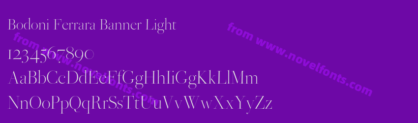Bodoni Ferrara Banner LightPreview Bodoni Ferrara Banner LightPreview