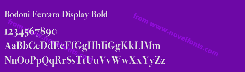 Bodoni Ferrara Display BoldPreview Bodoni Ferrara Display BoldPreview
