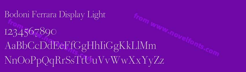 Bodoni Ferrara Display LightPreview Bodoni Ferrara Display LightPreview