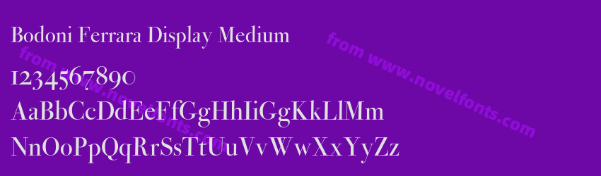 Bodoni Ferrara Display MediumPreview