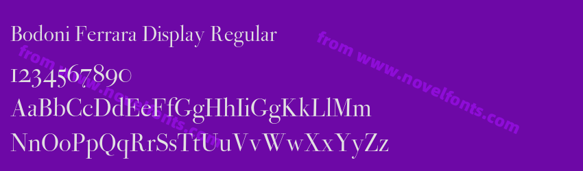 Bodoni Ferrara Display RegularPreview Bodoni Ferrara Display RegularPreview