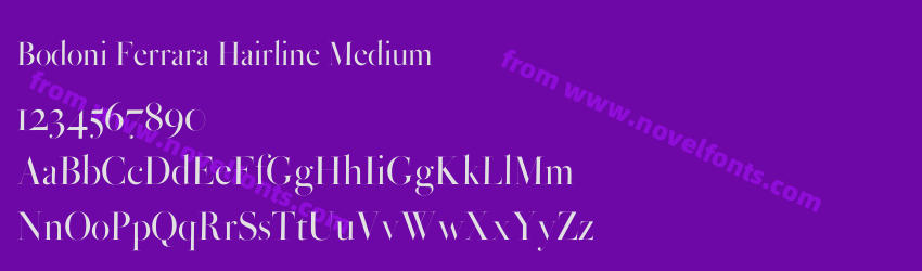 Bodoni Ferrara Hairline MediumPreview Bodoni Ferrara Hairline MediumPreview