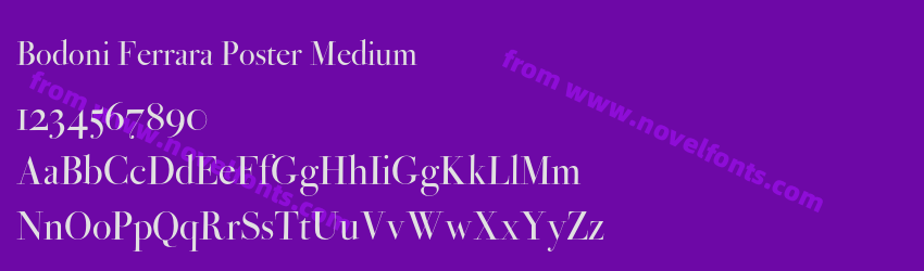 Bodoni Ferrara Poster MediumPreview Bodoni Ferrara Poster MediumPreview