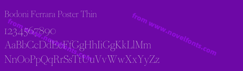 Bodoni Ferrara Poster ThinPreview Bodoni Ferrara Poster ThinPreview
