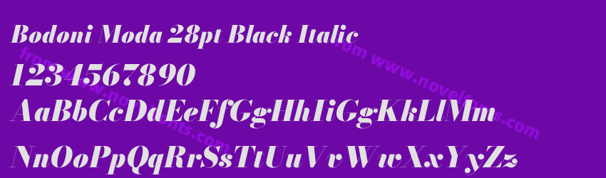 Bodoni Moda 28pt Black ItalicPreview