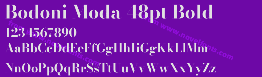 Bodoni Moda 48pt BoldPreview Bodoni Moda 48pt BoldPreview